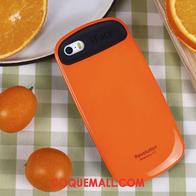 coque iphone 5 amoureux coque iphone 5 amoureux