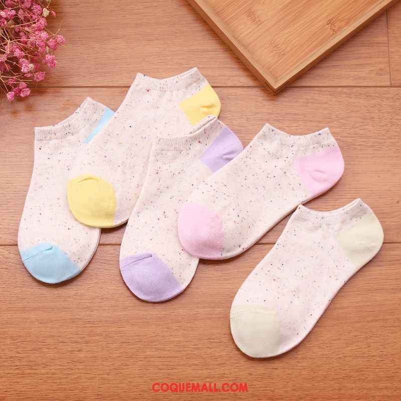 Chaussette Femme Bouche Peu Profonde Couleurs De Bonbon Faible, Chaussette Respirant Étudiant