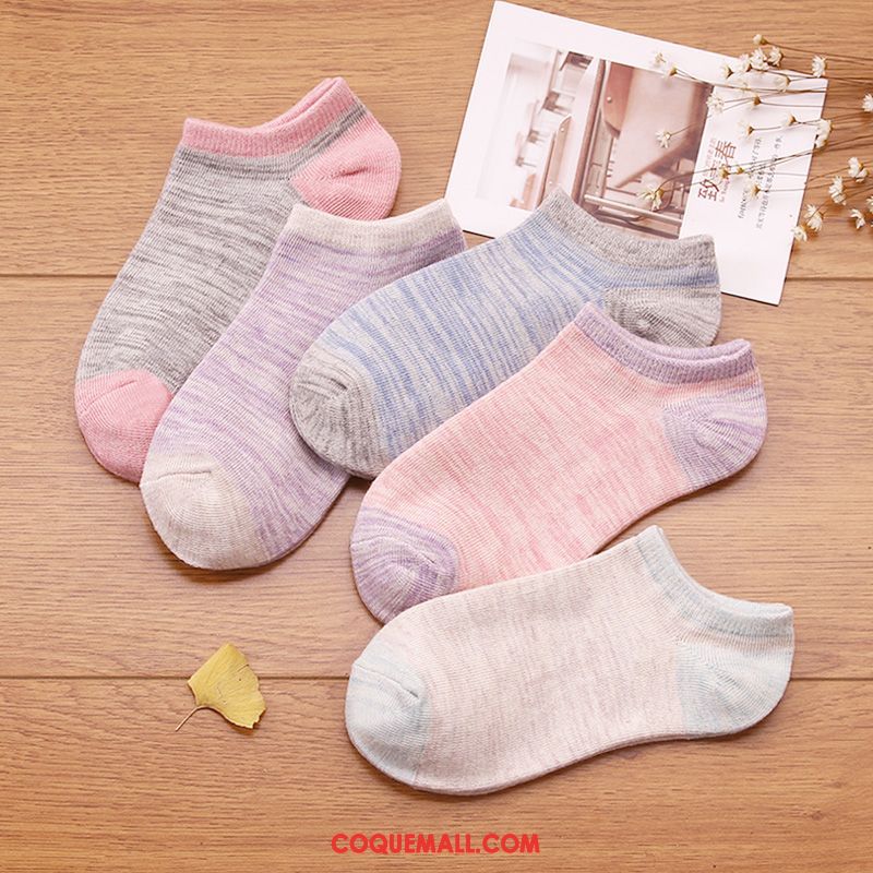 Chaussette Femme Bouche Peu Profonde Couleurs De Bonbon Faible, Chaussette Respirant Étudiant