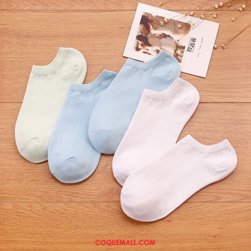 Chaussette Femme Bouche Peu Profonde Couleurs De Bonbon Faible, Chaussette Respirant Étudiant