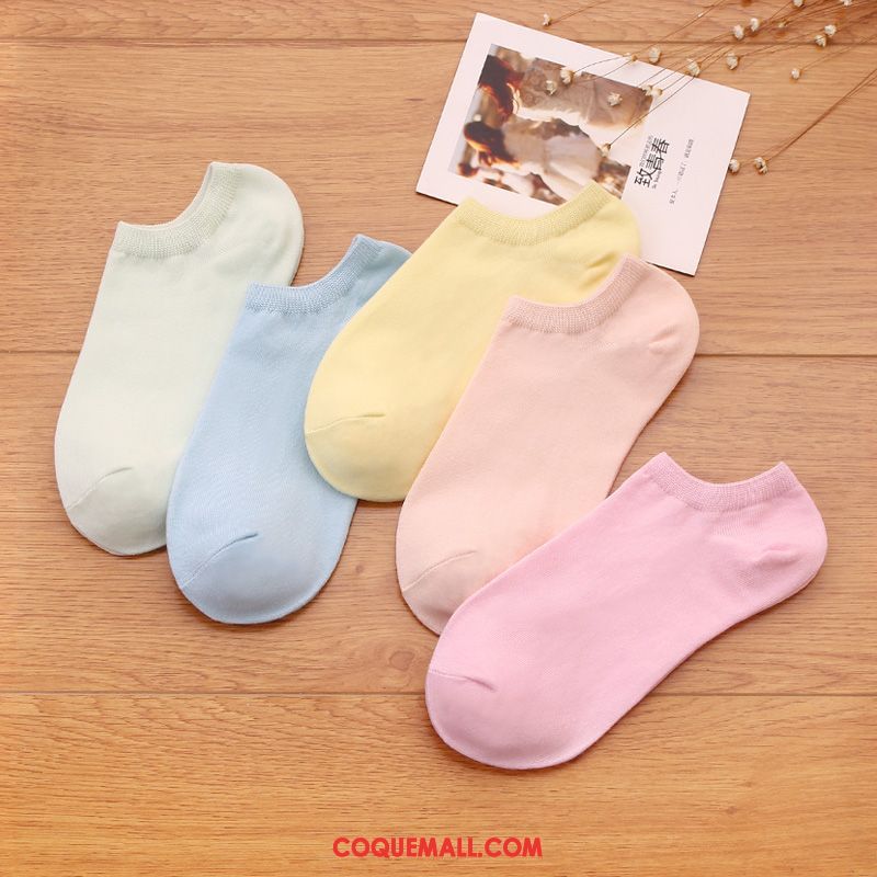 Chaussette Femme Bouche Peu Profonde Couleurs De Bonbon Faible, Chaussette Respirant Étudiant