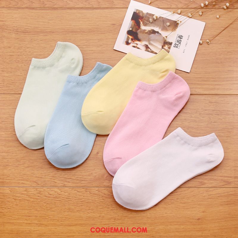 Chaussette Femme Bouche Peu Profonde Couleurs De Bonbon Faible, Chaussette Respirant Étudiant