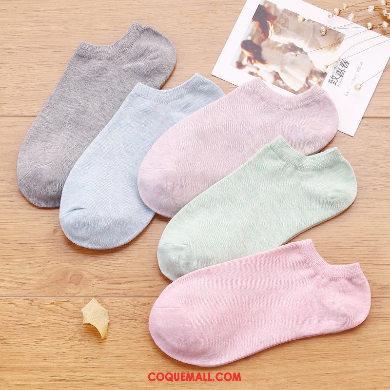 Chaussette Femme Bouche Peu Profonde Couleurs De Bonbon Faible, Chaussette Respirant Étudiant