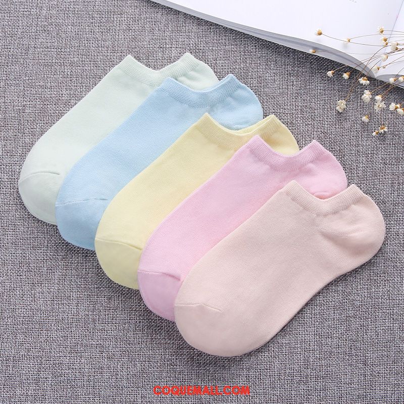 Chaussette Femme Chaussettes En Coton Chaussette Courte Coton, Chaussette Couleurs De Bonbon Étudiant