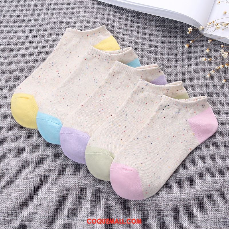 Chaussette Femme Chaussettes En Coton Chaussette Courte Coton, Chaussette Couleurs De Bonbon Étudiant