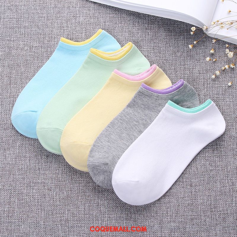 Chaussette Femme Chaussettes En Coton Chaussette Courte Coton, Chaussette Couleurs De Bonbon Étudiant