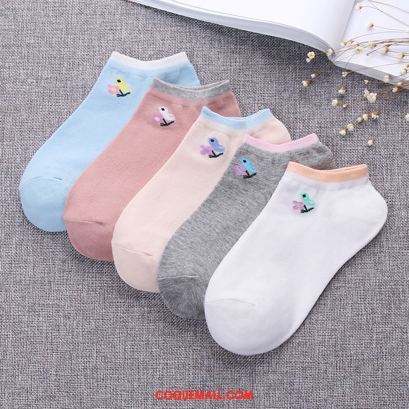 Chaussette Femme Chaussettes En Coton Chaussette Courte Coton, Chaussette Couleurs De Bonbon Étudiant