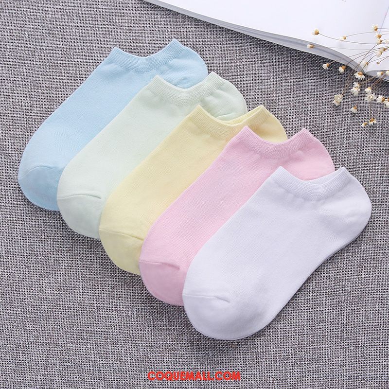 Chaussette Femme Chaussettes En Coton Chaussette Courte Coton, Chaussette Couleurs De Bonbon Étudiant