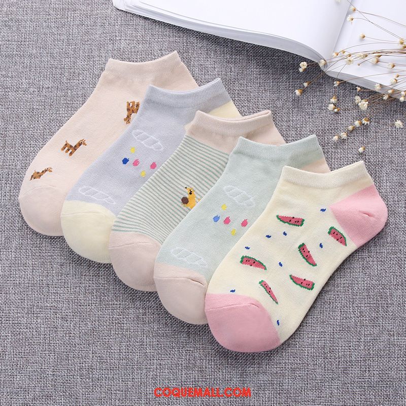 Chaussette Femme Chaussettes En Coton Chaussette Courte Coton, Chaussette Couleurs De Bonbon Étudiant