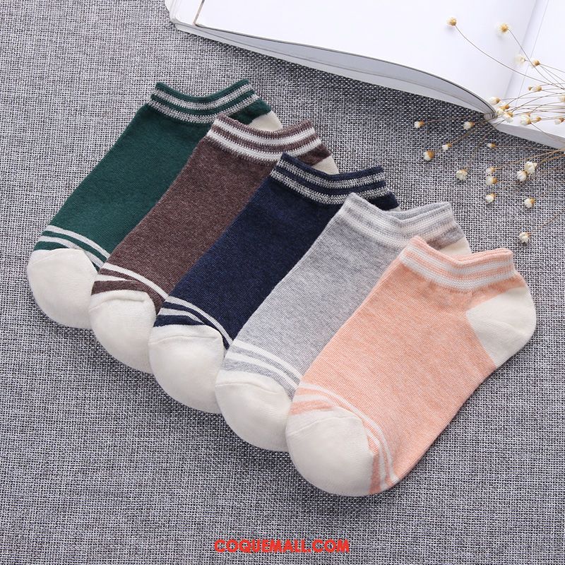 Chaussette Femme Chaussettes En Coton Chaussette Courte Coton, Chaussette Couleurs De Bonbon Étudiant