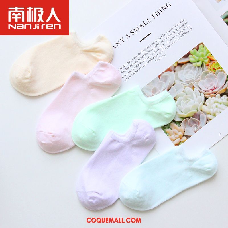 Chaussette Femme Milieu Étudiant Chaussettes En Coton, Chaussette Chaussette Longue Quatre Saisons