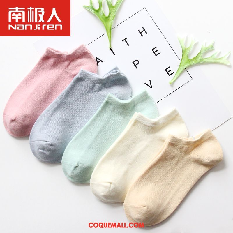 Chaussette Femme Milieu Étudiant Chaussettes En Coton, Chaussette Chaussette Longue Quatre Saisons