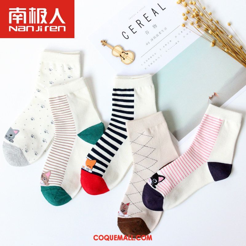 Chaussette Femme Milieu Étudiant Chaussettes En Coton, Chaussette Chaussette Longue Quatre Saisons