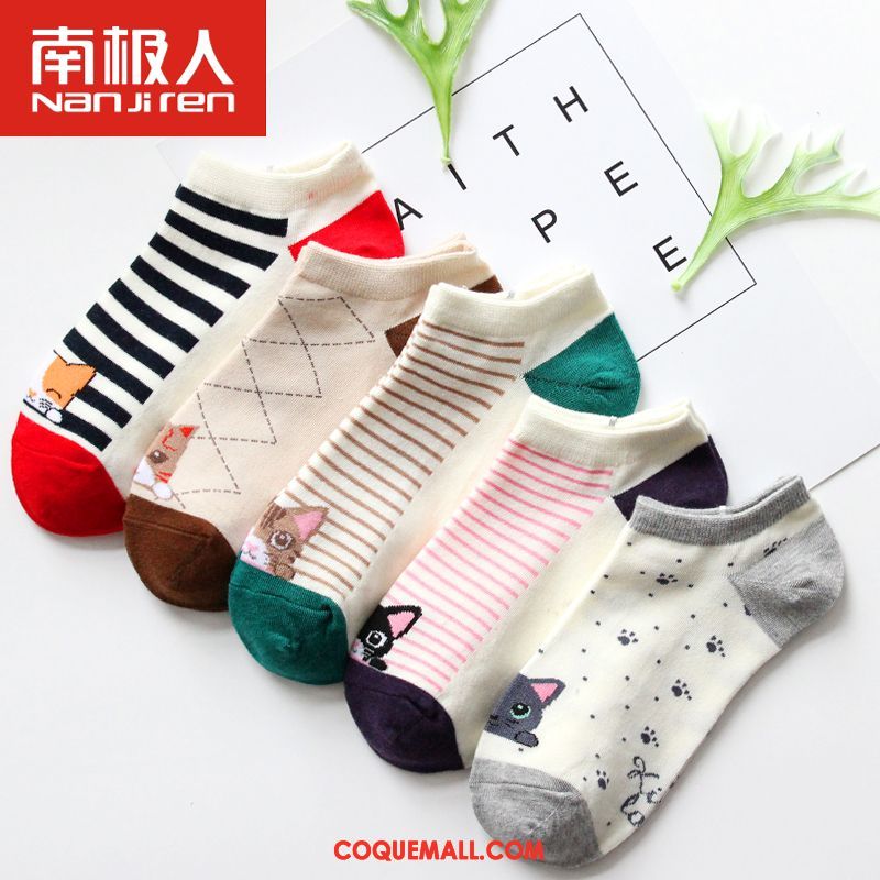 Chaussette Femme Milieu Étudiant Chaussettes En Coton, Chaussette Chaussette Longue Quatre Saisons