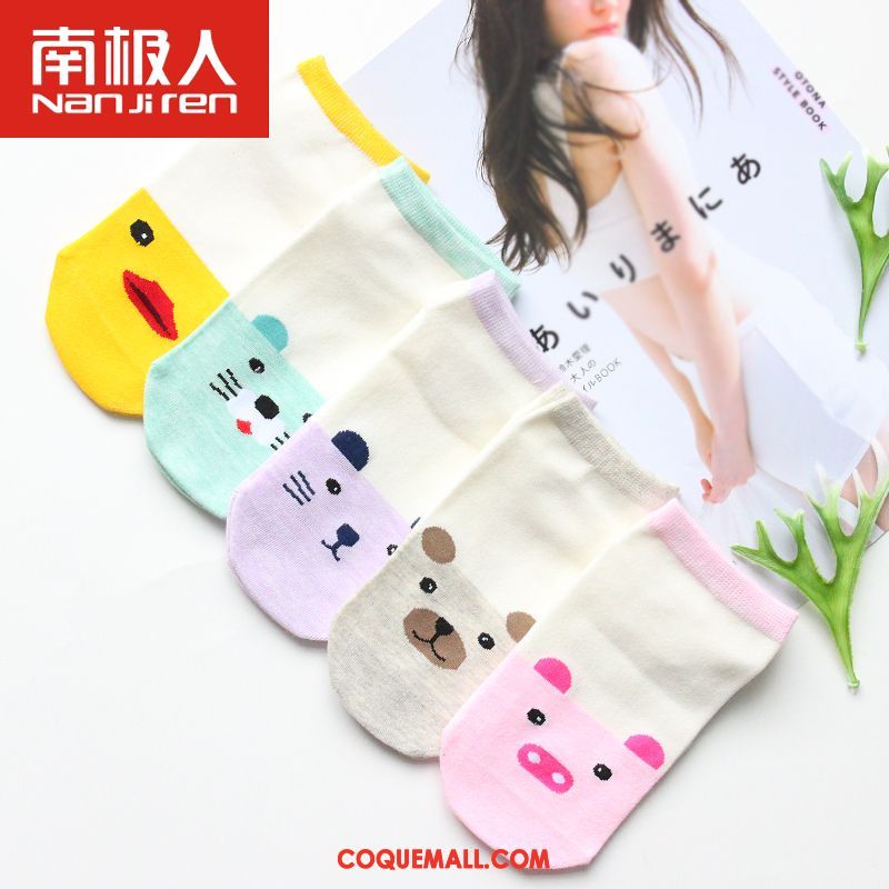 Chaussette Femme Milieu Étudiant Chaussettes En Coton, Chaussette Chaussette Longue Quatre Saisons