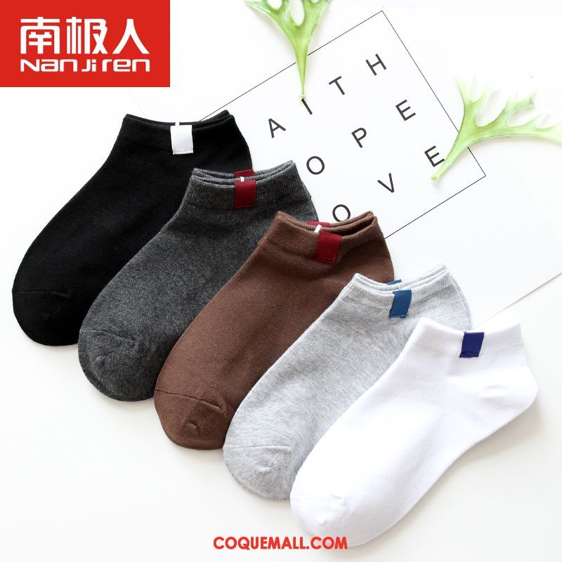 Chaussette Femme Milieu Étudiant Chaussettes En Coton, Chaussette Chaussette Longue Quatre Saisons