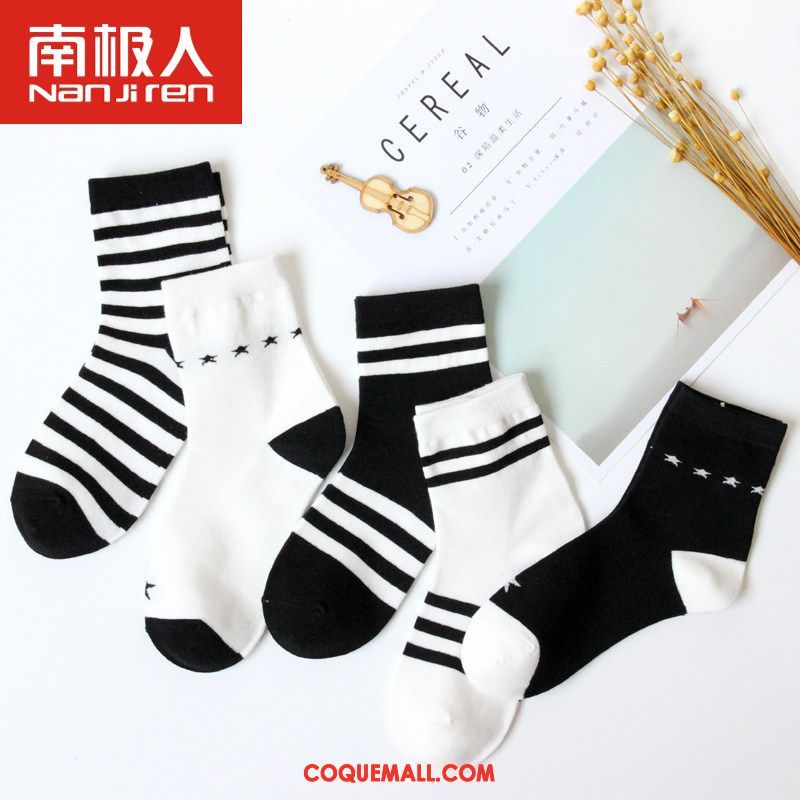 Chaussette Femme Milieu Étudiant Chaussettes En Coton, Chaussette Chaussette Longue Quatre Saisons