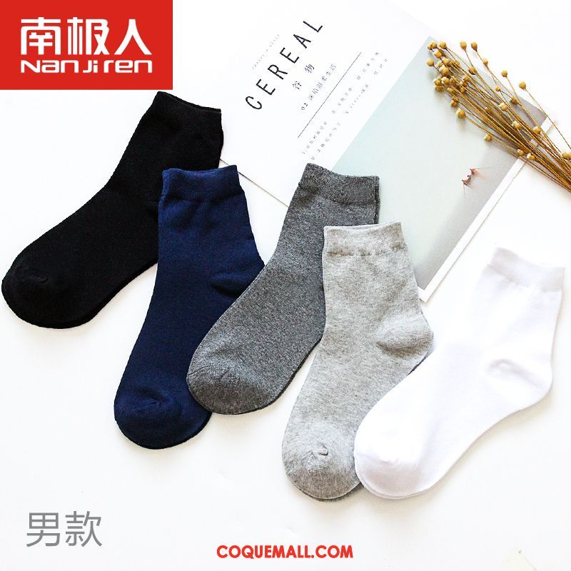 Chaussette Femme Milieu Étudiant Chaussettes En Coton, Chaussette Chaussette Longue Quatre Saisons