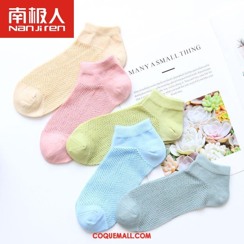 Chaussette Femme Milieu Étudiant Chaussettes En Coton, Chaussette Chaussette Longue Quatre Saisons