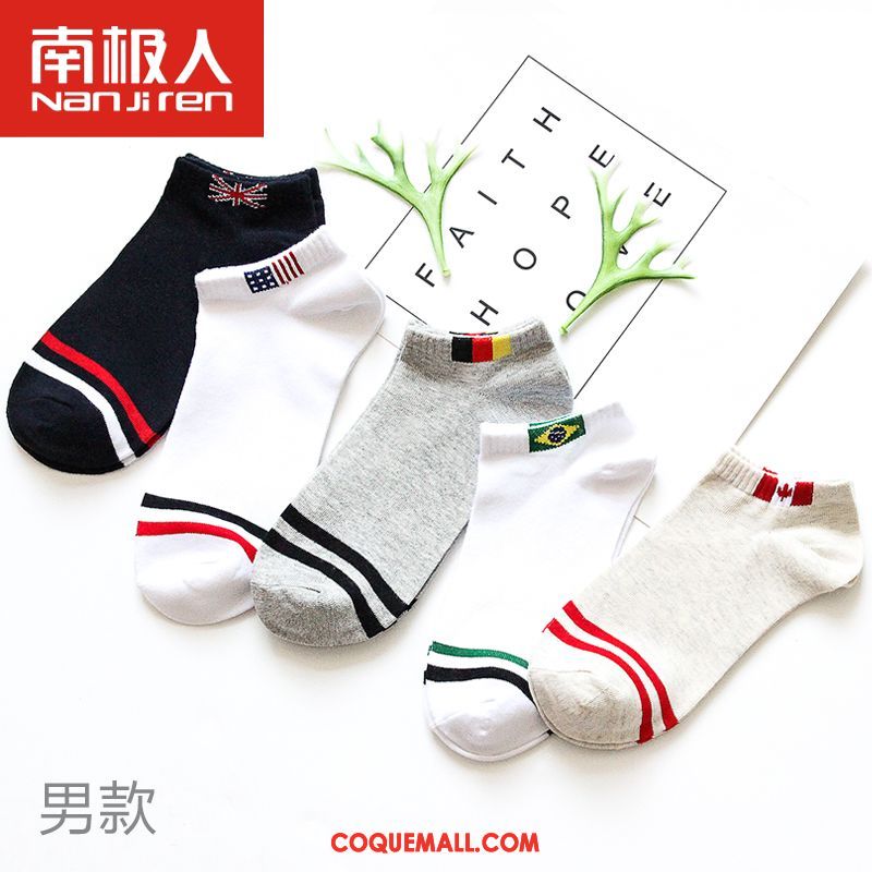 Chaussette Femme Milieu Étudiant Chaussettes En Coton, Chaussette Chaussette Longue Quatre Saisons