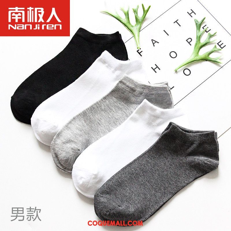 Chaussette Femme Milieu Étudiant Chaussettes En Coton, Chaussette Chaussette Longue Quatre Saisons