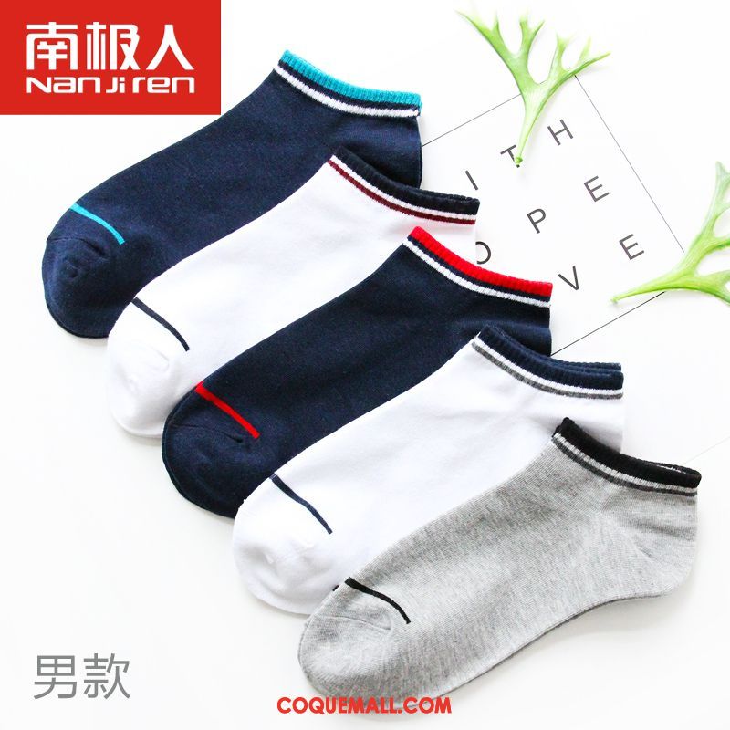 Chaussette Femme Milieu Étudiant Chaussettes En Coton, Chaussette Chaussette Longue Quatre Saisons