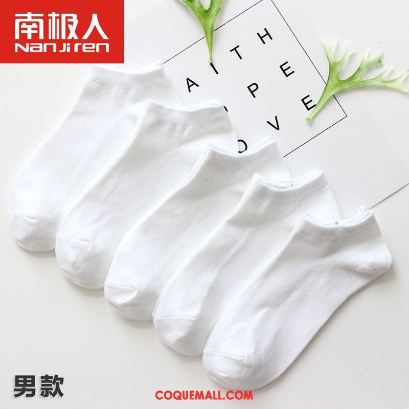 Chaussette Femme Milieu Étudiant Chaussettes En Coton, Chaussette Chaussette Longue Quatre Saisons