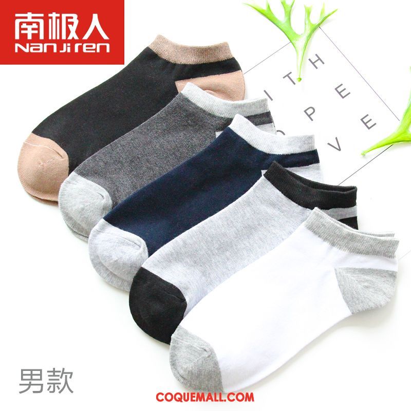 Chaussette Femme Milieu Étudiant Chaussettes En Coton, Chaussette Chaussette Longue Quatre Saisons