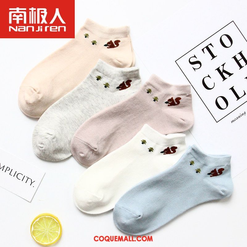 Chaussette Femme Milieu Étudiant Chaussettes En Coton, Chaussette Chaussette Longue Quatre Saisons