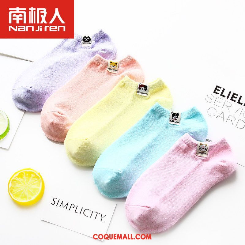 Chaussette Femme Milieu Étudiant Chaussettes En Coton, Chaussette Chaussette Longue Quatre Saisons