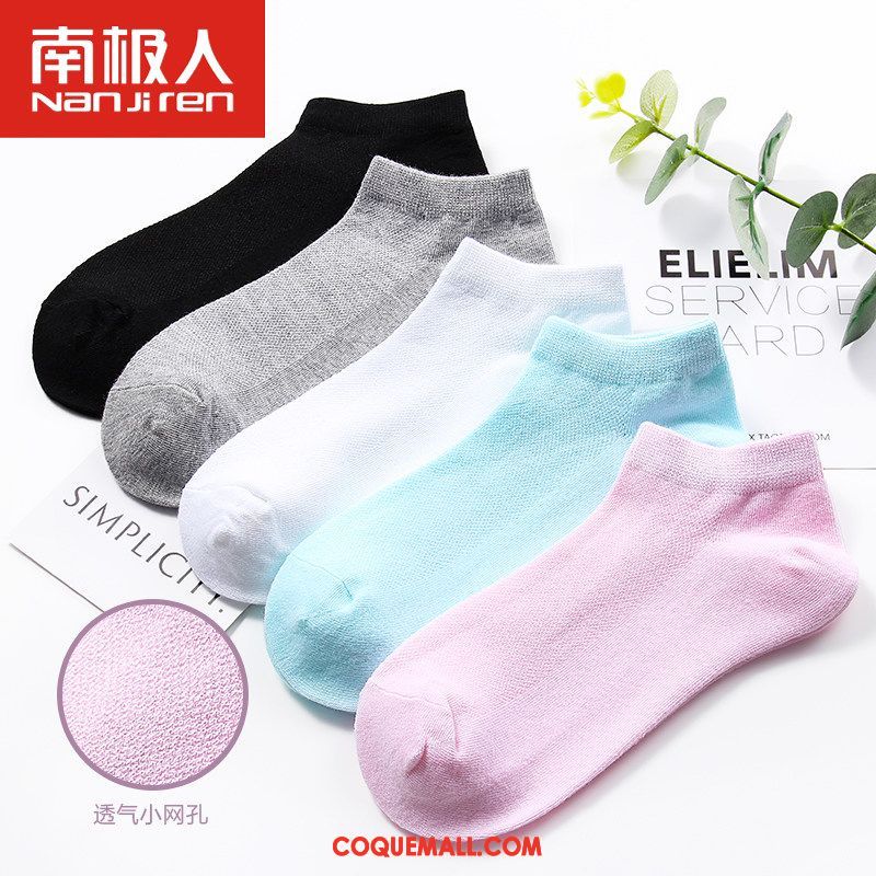 Chaussette Femme Milieu Étudiant Chaussettes En Coton, Chaussette Chaussette Longue Quatre Saisons