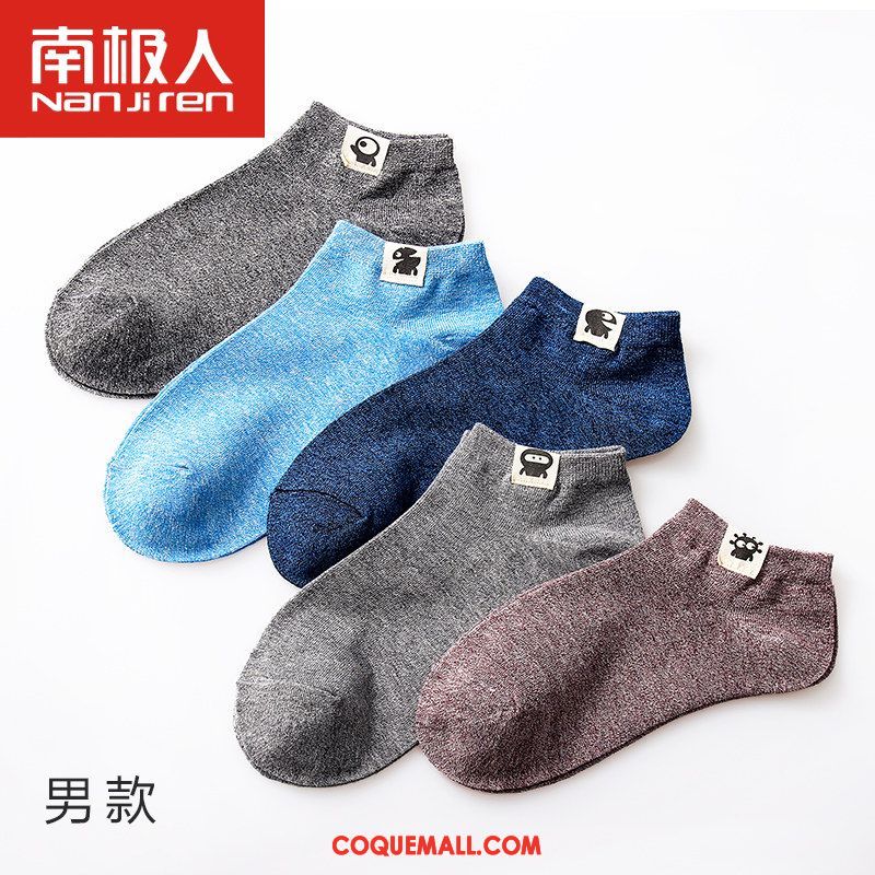 Chaussette Femme Milieu Étudiant Chaussettes En Coton, Chaussette Chaussette Longue Quatre Saisons