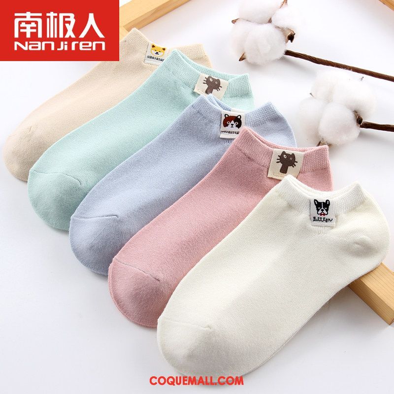 Chaussette Femme Milieu Étudiant Chaussettes En Coton, Chaussette Chaussette Longue Quatre Saisons