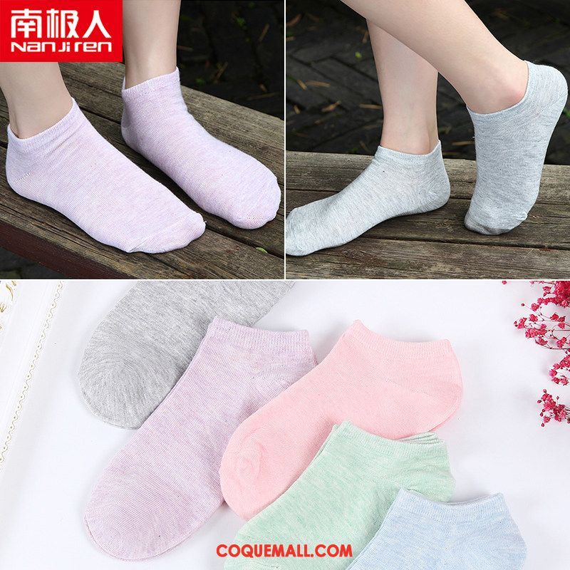 Chaussette Femme Rose Chaussette Basse Coupée Coton, Chaussette Charmant Invisible