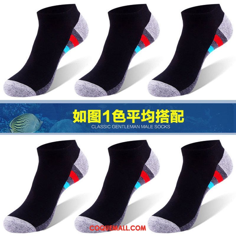 Chaussette Homme Chaussettes En Coton Faible Mince, Chaussette Anti-odeur Coton