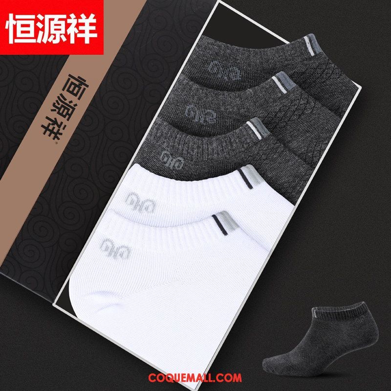 Chaussette Homme Chaussettes En Coton Milieu Respirant, Chaussette Chaussette Basse Coupée Chaussette Courte