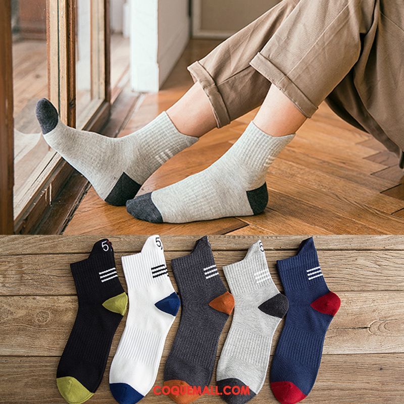 Chaussette Homme L'automne Milieu Tendance, Chaussette Quatre Saisons Vent De L'université