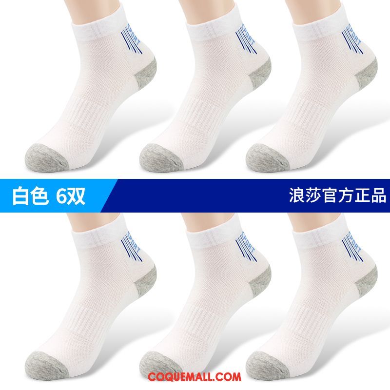 Chaussette Homme Été Transpiration Chaussette Courte, Chaussette Coton Été