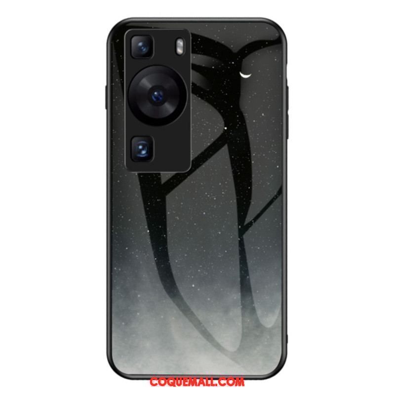 Coque Huawei P60 Pro Verre Trempé Sky