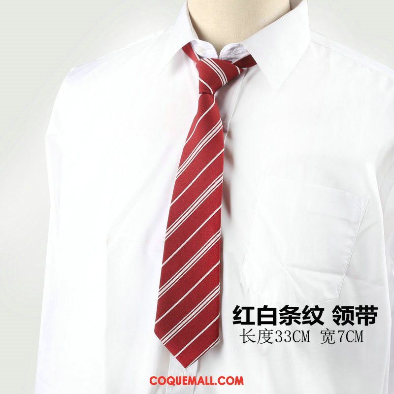 Cravate Homme Loisir Britanique Accessoires, Cravate Uniforme Vent De L'université