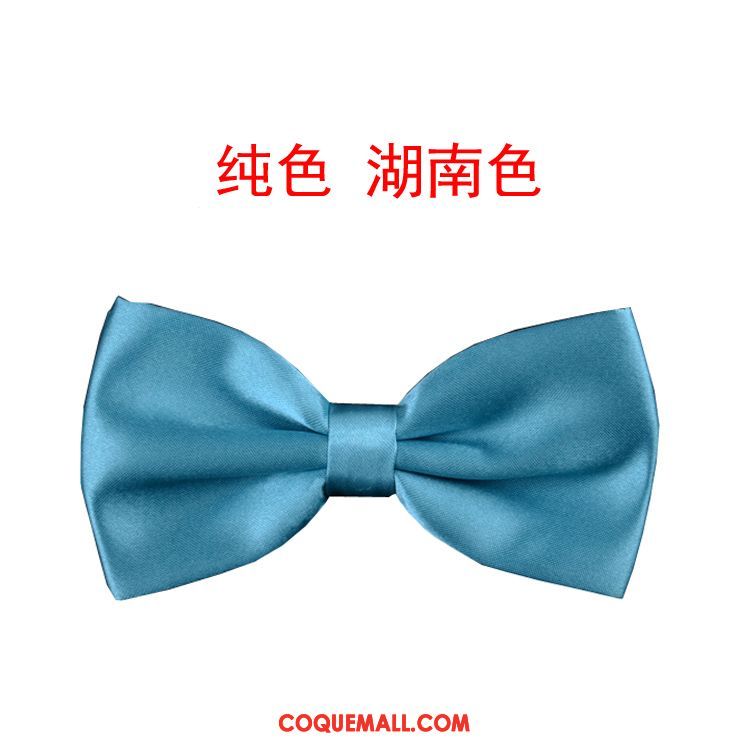 Nœud Papillon Homme Banquet Arc Marier, Nœud Papillon Bleu Le Marié Hell