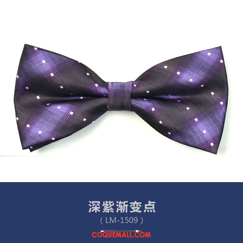 Nœud Papillon Homme Violet Modèle Britanique, Nœud Papillon Vêtements De Cérémonie Arc