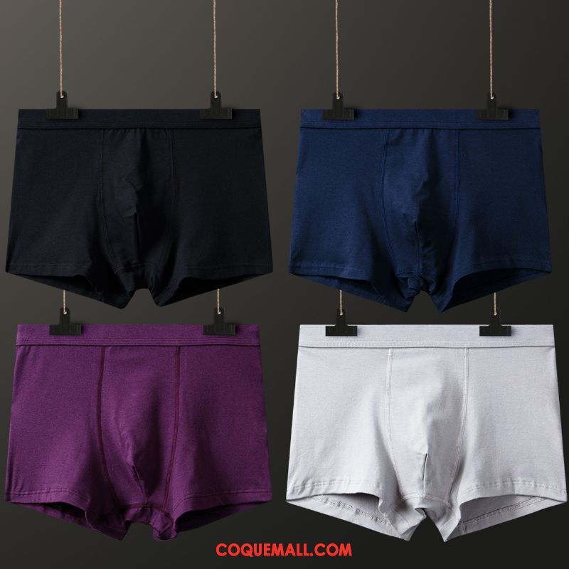 Shorty Homme Milieu Coton Noir, Shorty Violet 100% Coton Blau