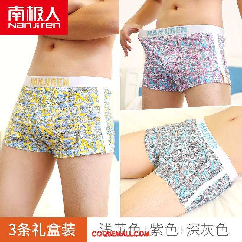 Shorty Homme Multicolore Jeunesse Respirant, Shorty Tendance Coton