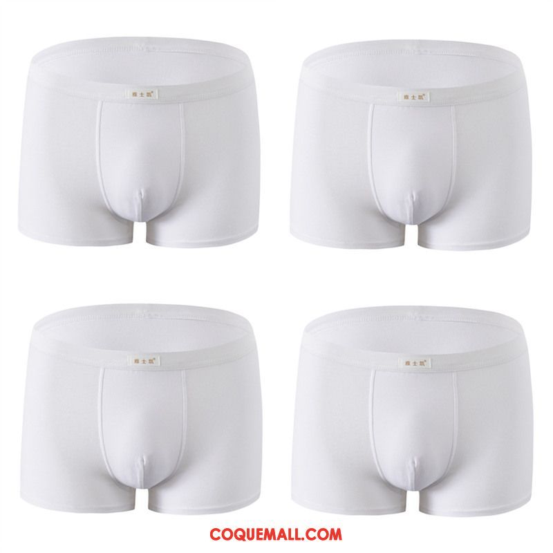 Shorty Homme Tendance Coton Respirant, Shorty Jeunesse Pantalon