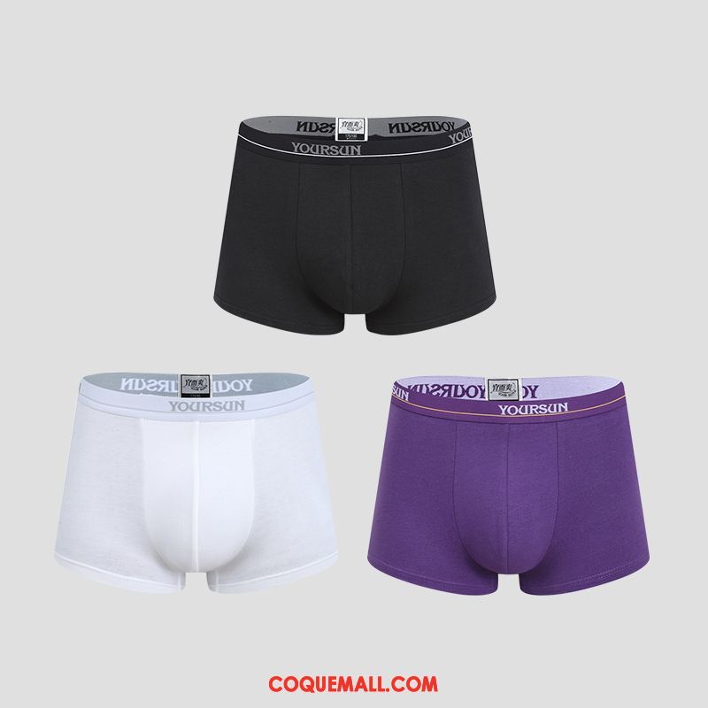 Shorty Homme Élasticité Pure Couleur Violet, Shorty Simple Triangle Dunkel