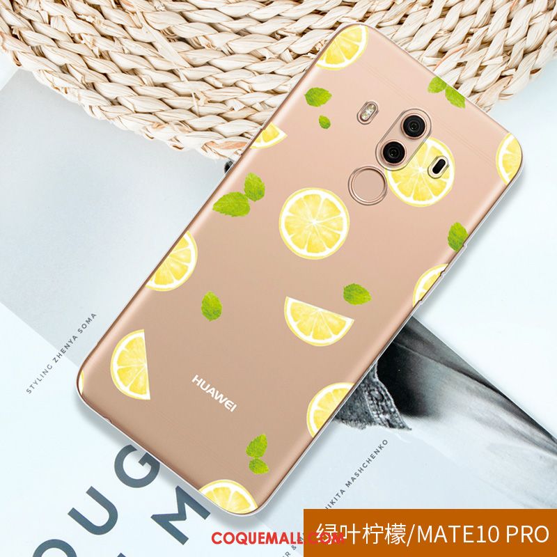 Étui Huawei Mate 10 Pro Incassable Protection Téléphone Portable, Coque Huawei Mate 10 Pro Transparent Fluide Doux