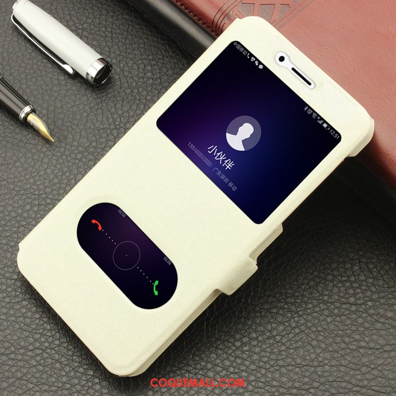 Étui Huawei P10 Lite Téléphone Portable Étui En Cuir Or, Coque Huawei P10 Lite Jeunesse