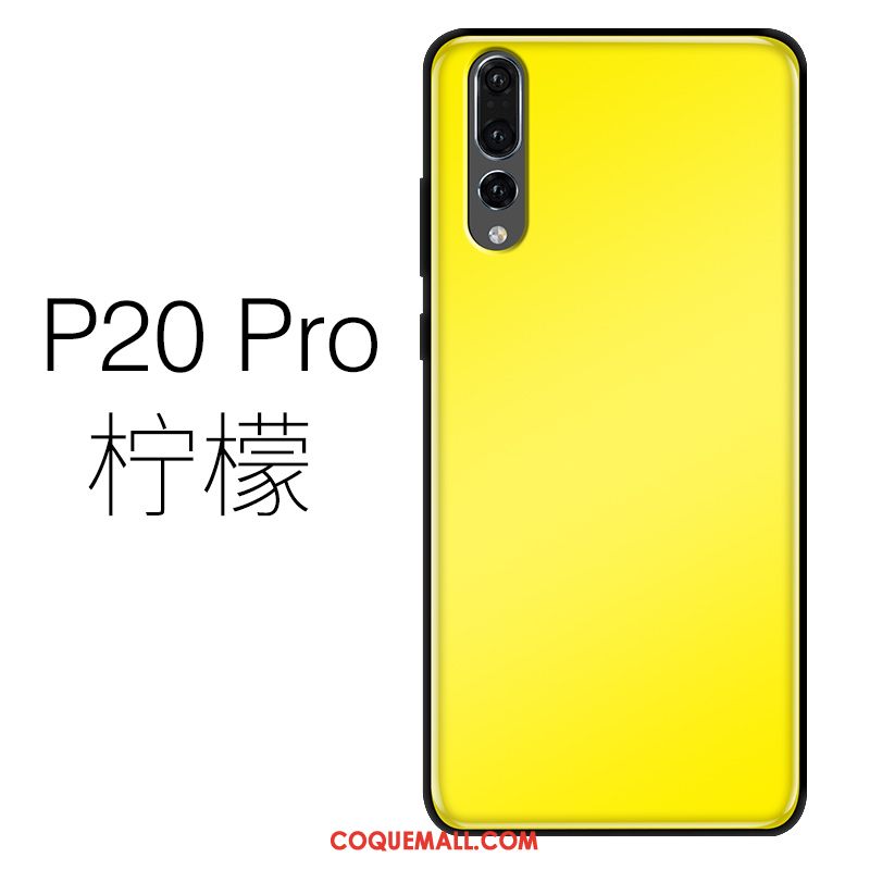 Étui Huawei P20 Pro Silicone Très Mince Téléphone Portable, Coque Huawei P20 Pro Verre Violet