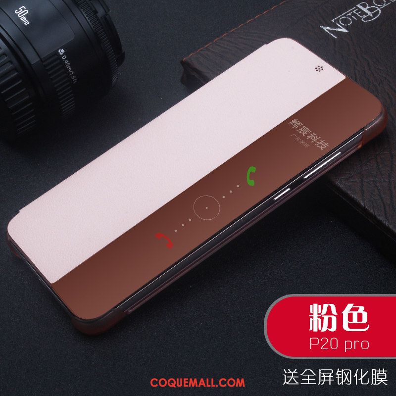 Étui Huawei P20 Pro Tout Compris Étui En Cuir Téléphone Portable, Coque Huawei P20 Pro Simple Accessoires